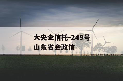 大央企信托-249号山东省会政信
