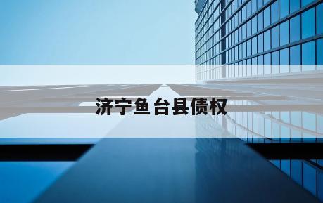 济宁鱼台县债权