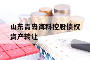 山东青岛海科控股债权资产转让