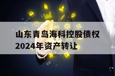 山东青岛海科控股债权2024年资产转让