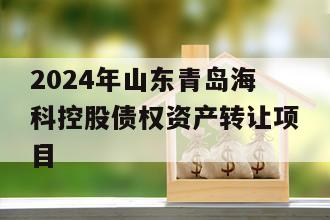 2024年山东青岛海科控股债权资产转让项目