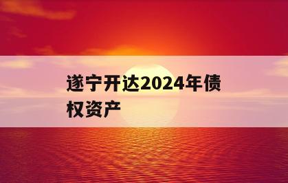 遂宁开达2024年债权资产
