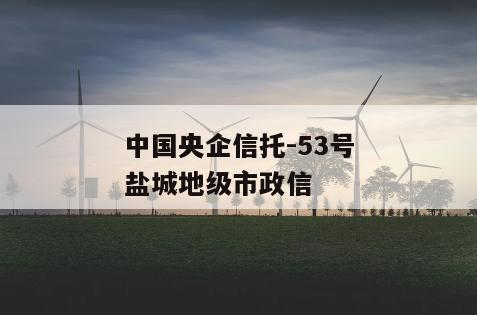 中国央企信托-53号盐城地级市政信