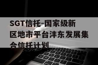 SGT信托-国家级新区地市平台沣东发展集合信托计划