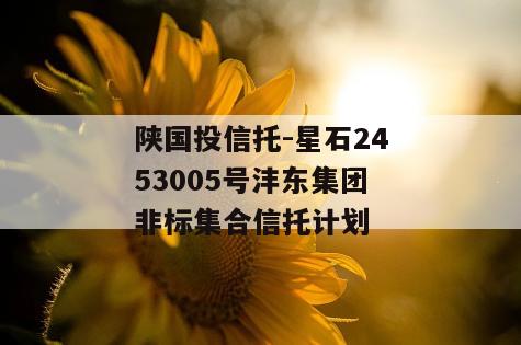 陕国投信托-星石2453005号沣东集团非标集合信托计划