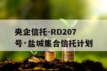 央企信托-RD207号·盐城集合信托计划