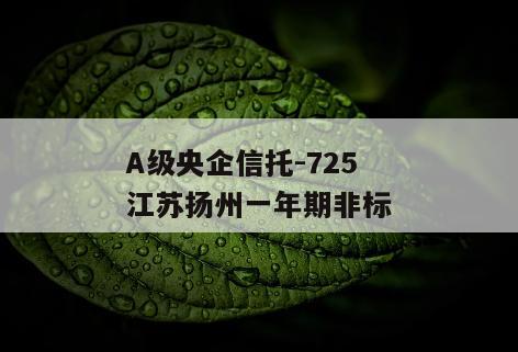 A级央企信托-725江苏扬州一年期非标