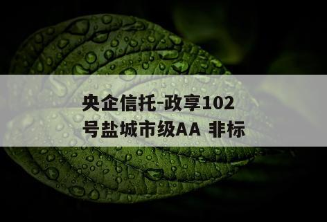 央企信托-政享102号盐城市级AA 非标