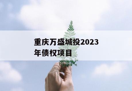 重庆万盛城投2023年债权项目