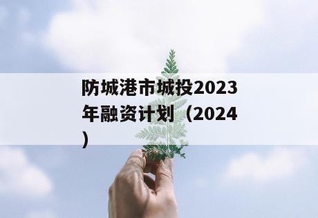 防城港市城投2023年融资计划（2024）