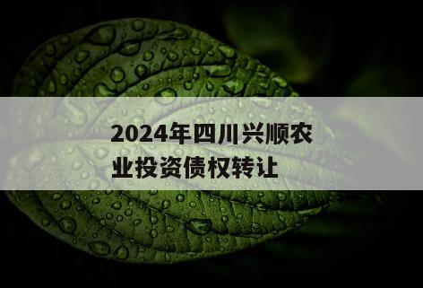 2024年四川兴顺农业投资债权转让