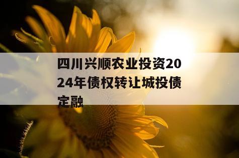 四川兴顺农业投资2024年债权转让城投债定融