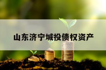 山东济宁城投债权资产