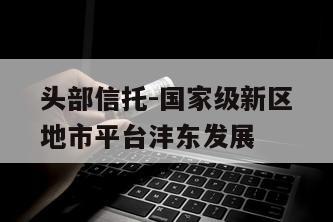 头部信托-国家级新区地市平台沣东发展