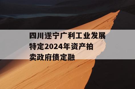 四川遂宁广利工业发展特定2024年资产拍卖政府债定融