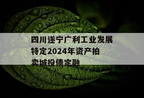 四川遂宁广利工业发展特定2024年资产拍卖城投债定融
