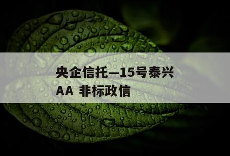 央企信托—15号泰兴AA 非标政信