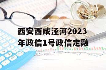 西安西咸泾河2023年政信1号政信定融