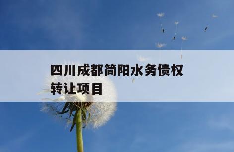 四川成都简阳水务债权转让项目