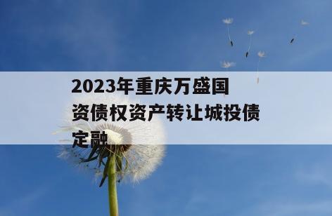 2023年重庆万盛国资债权资产转让城投债定融
