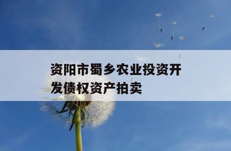 资阳市蜀乡农业投资开发债权资产拍卖
