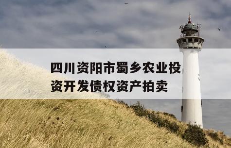 四川资阳市蜀乡农业投资开发债权资产拍卖