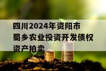 四川2024年资阳市蜀乡农业投资开发债权资产拍卖