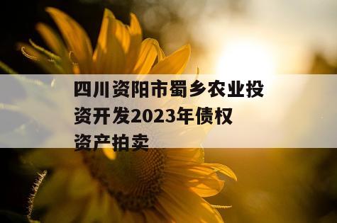 四川资阳市蜀乡农业投资开发2023年债权资产拍卖