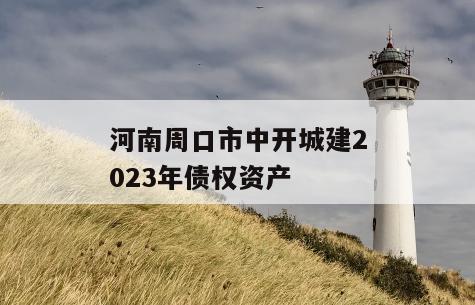 河南周口市中开城建2023年债权资产