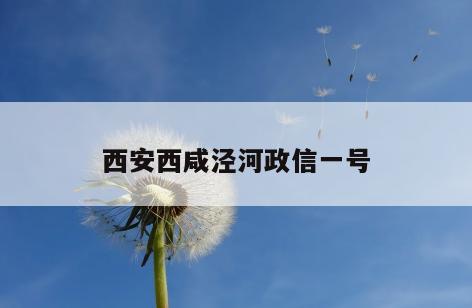西安西咸泾河政信一号