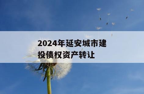 2024年延安城市建投债权资产转让