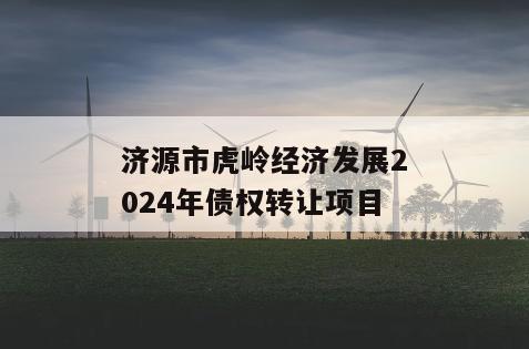 济源市虎岭经济发展2024年债权转让项目