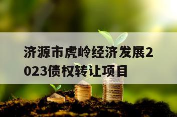 济源市虎岭经济发展2023债权转让项目