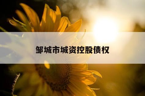 邹城市城资控股债权