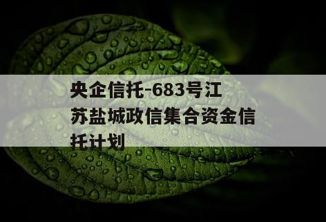 央企信托-683号江苏盐城政信集合资金信托计划