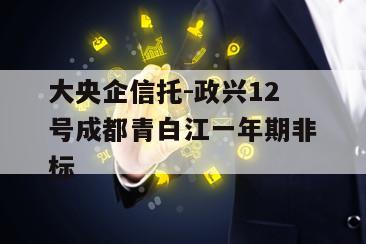 大央企信托-政兴12号成都青白江一年期非标
