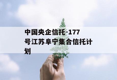 中国央企信托-177号江苏阜宁集合信托计划