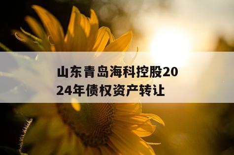 山东青岛海科控股2024年债权资产转让