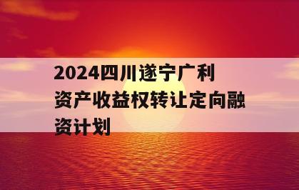 2024四川遂宁广利资产收益权转让定向融资计划