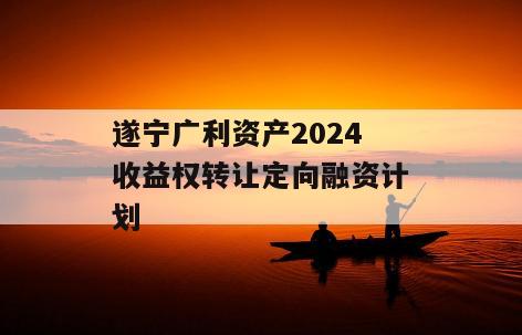 遂宁广利资产2024收益权转让定向融资计划