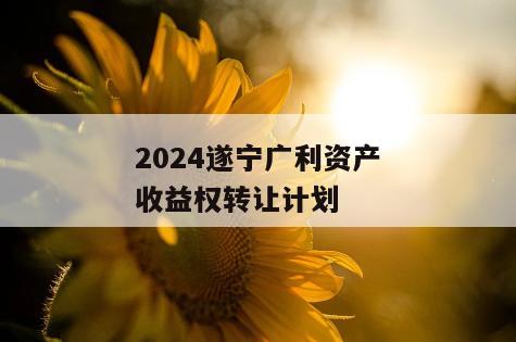 2024遂宁广利资产收益权转让计划