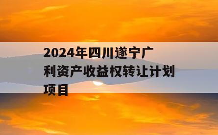 2024年四川遂宁广利资产收益权转让计划项目