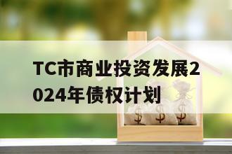 TC市商业投资发展2024年债权计划