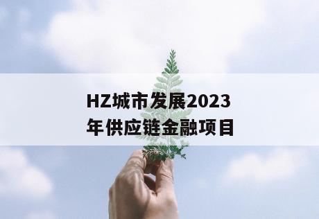 HZ城市发展2023年供应链金融项目