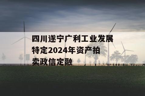 四川遂宁广利工业发展特定2024年资产拍卖政信定融