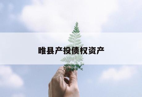 睢县产投债权资产