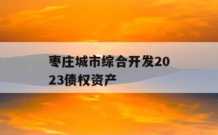 枣庄城市综合开发2023债权资产
