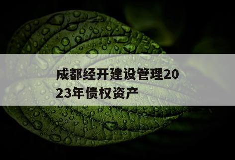 成都经开建设管理2023年债权资产