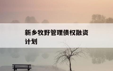 新乡牧野管理债权融资计划