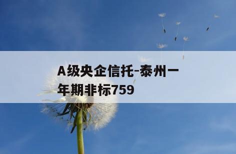 A级央企信托-泰州一年期非标759